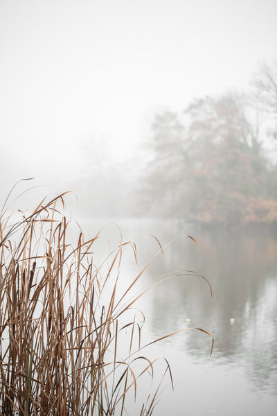 poster-print-at-the-lake