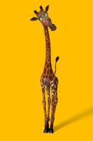 framedcanvas-print-sweety-giraffes
