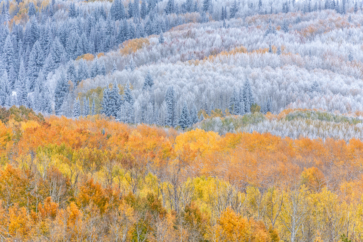 canvas-print-border-of-autumn-and-winter
