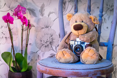 poster-print-camera-teddy-bear