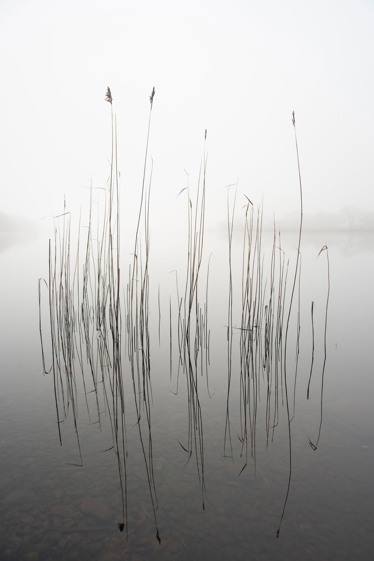 acrylic-print-silence