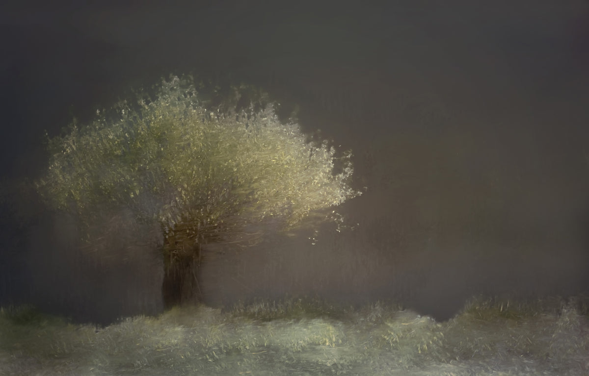 3-piece-aluminium-print-willow-2