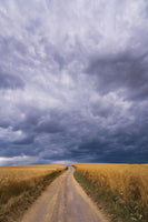 acrylic-print-towards-the-storm