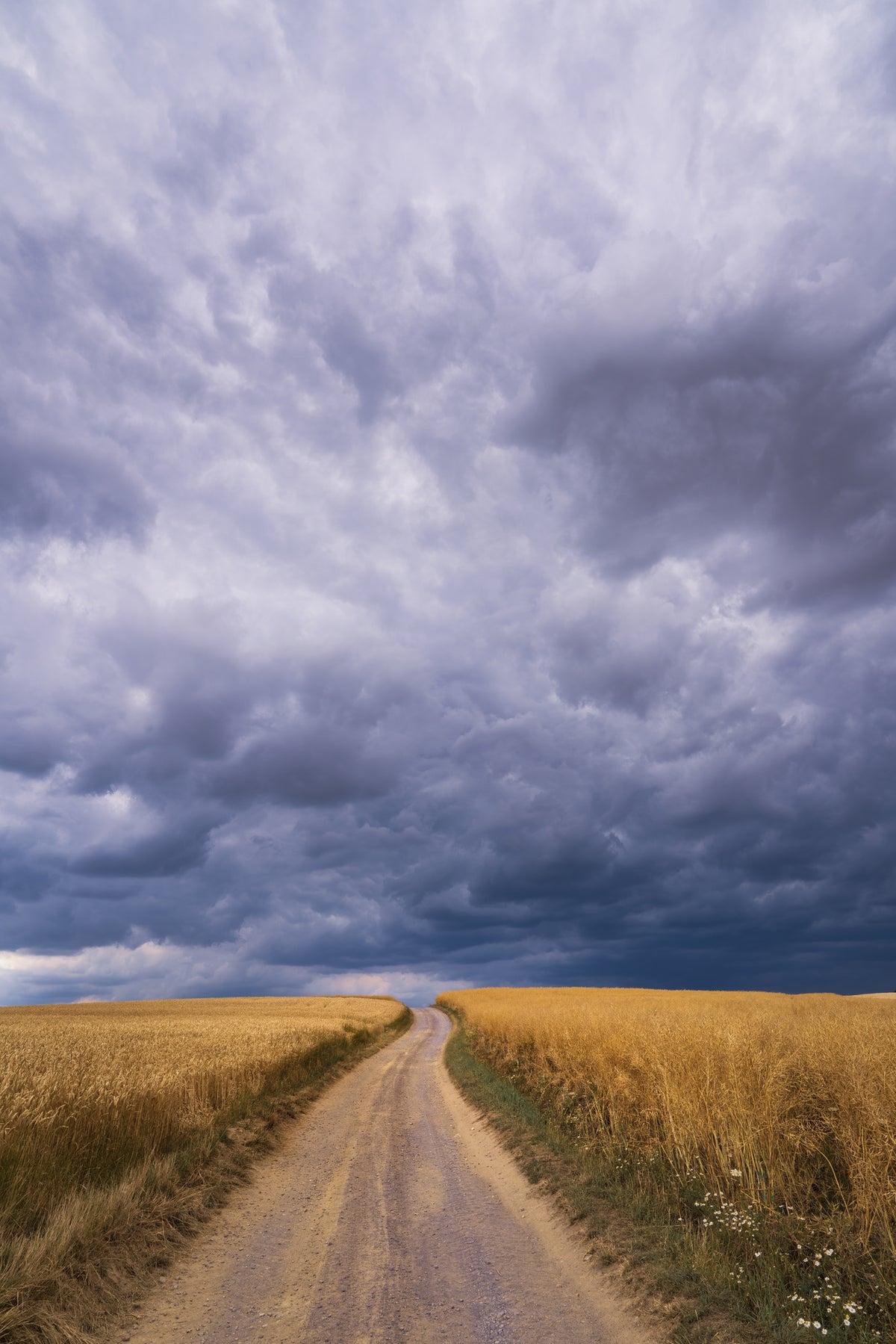 acrylic-print-towards-the-storm