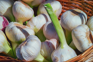 modern-3-piece-acrylic-print-fresh-garlic