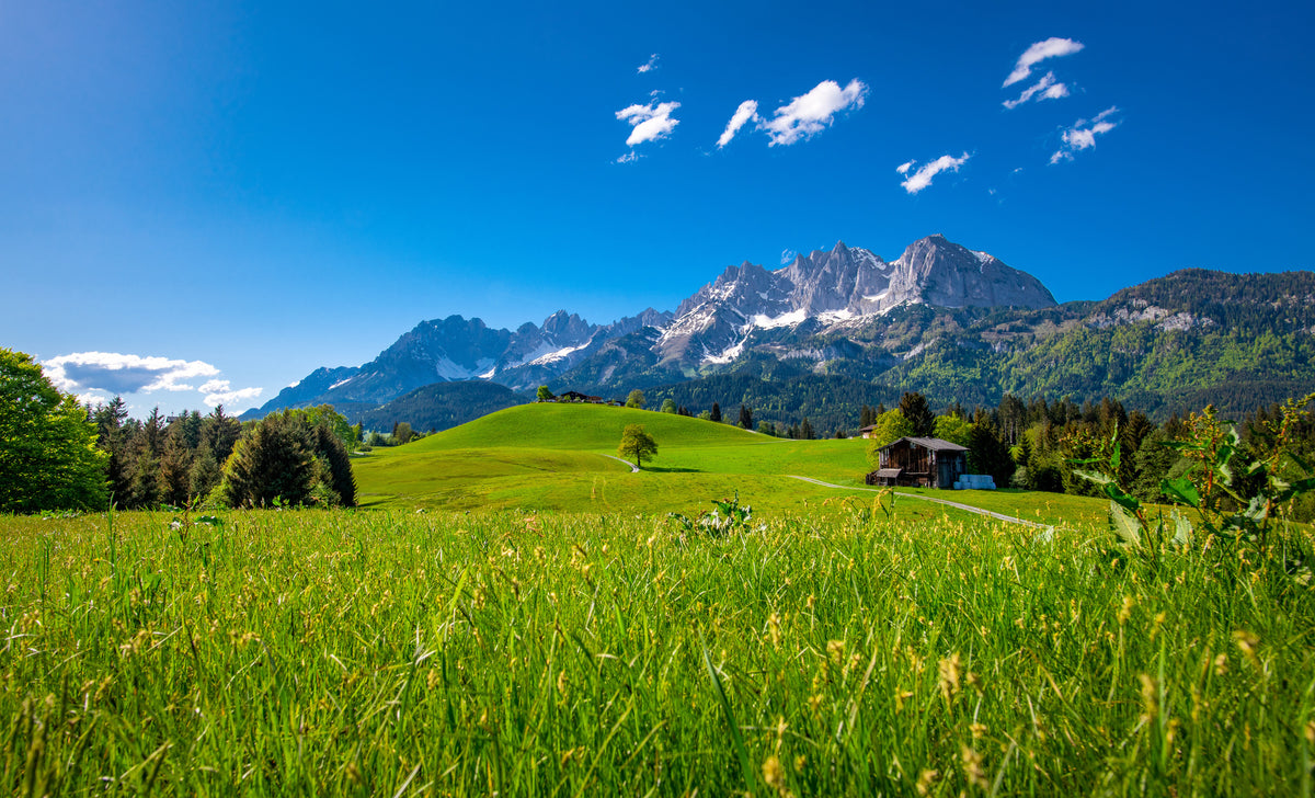 5-piece-canvas-print-idyllic-alpine-landscape-kietzbuhl