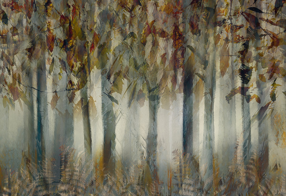 framedposter-print-the-dark-forest