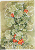 framedcanvas-print-nasturtium-tapestry