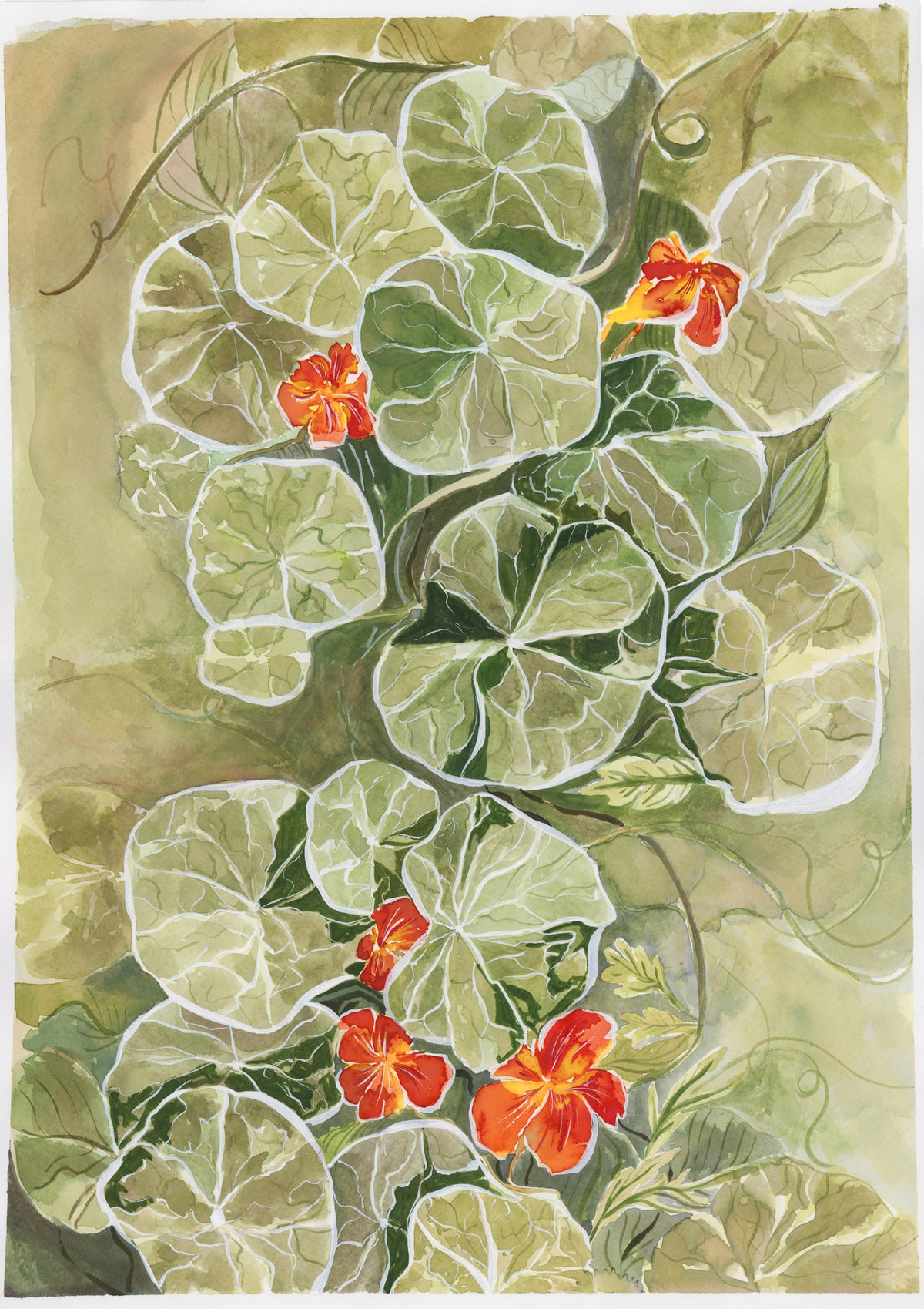 framedcanvas-print-nasturtium-tapestry