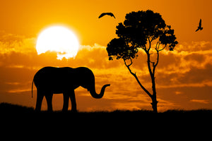 modern-3-piece-acrylic-print-dreamy-africa