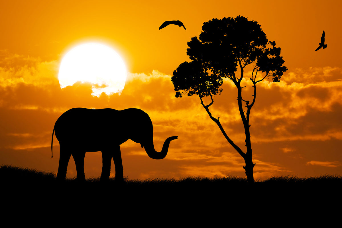 modern-3-piece-acrylic-print-dreamy-africa