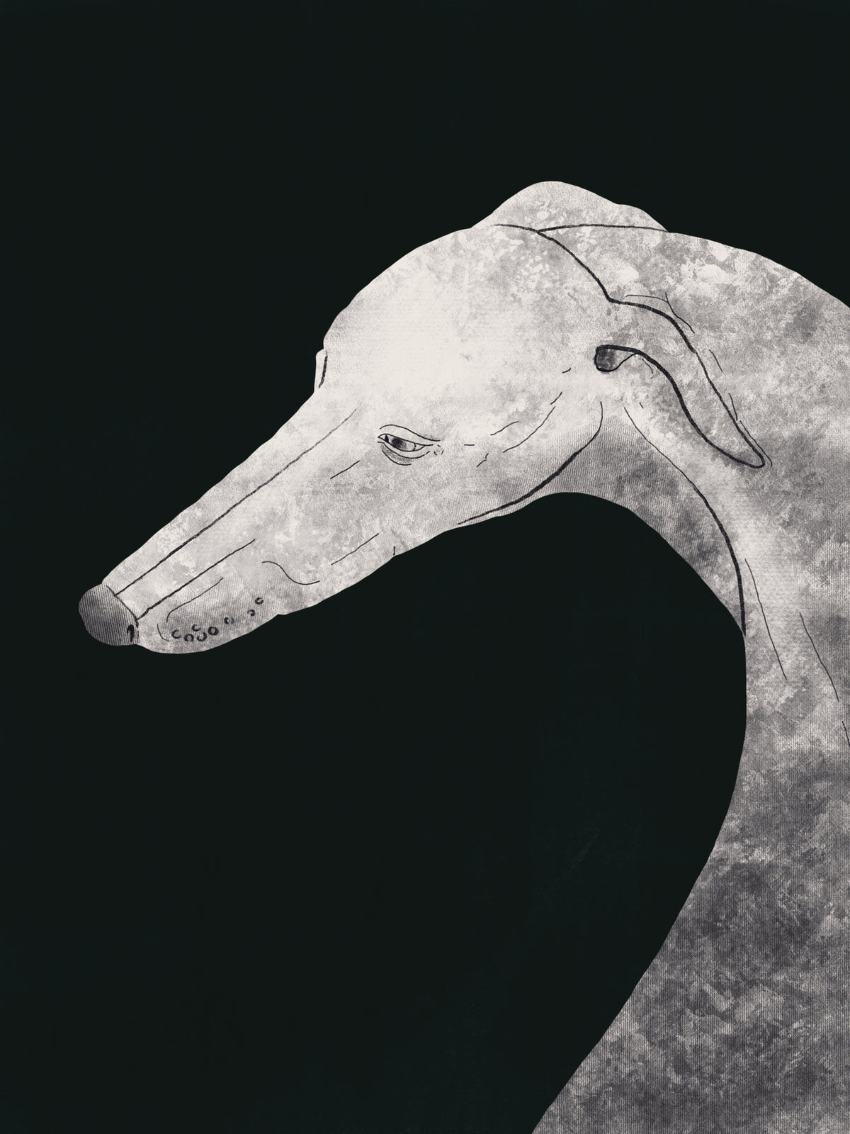 framedposter-print-greyhound-black-and-white-02