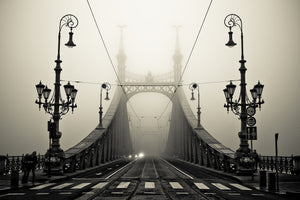 framedposter-print-the-bridge-x
