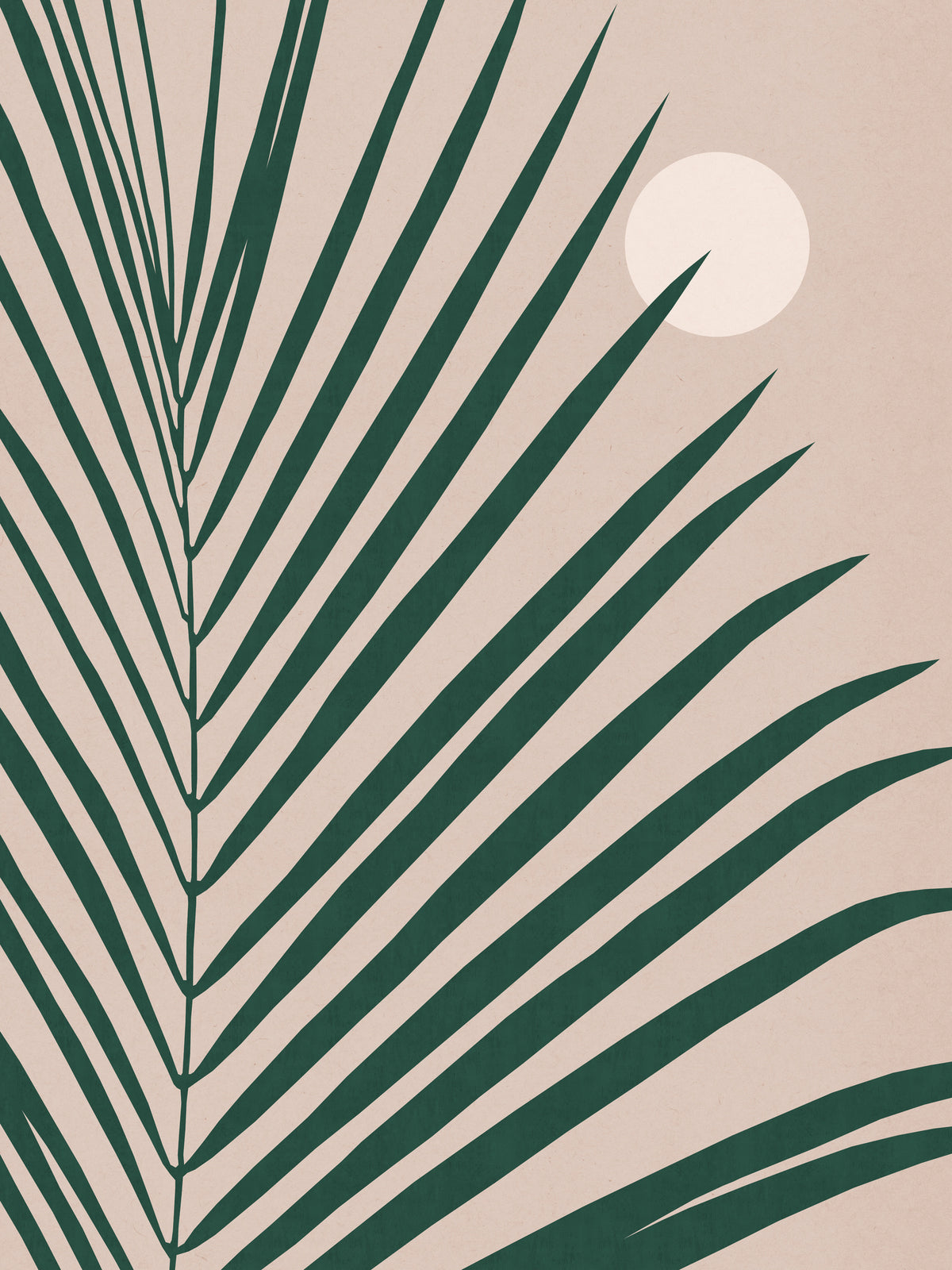 poster-print-cactus-3