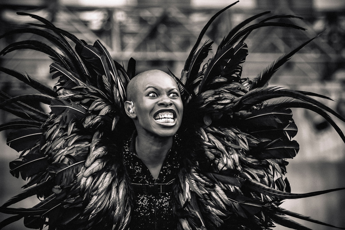 acrylic-print-skunk-anansie