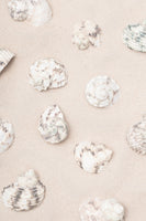 framedposter-print-shells-2