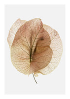 canvas-print-ethereal-leaves
