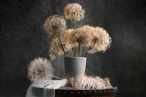 aluminium-print-dandelion-seed-pod-x