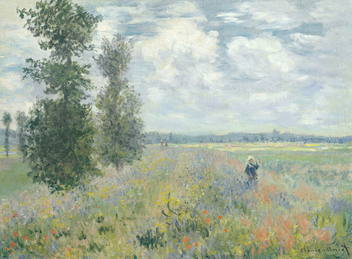 framedcanvas-print-poppy-fields-near-argenteuil-1875-by-claude-monet