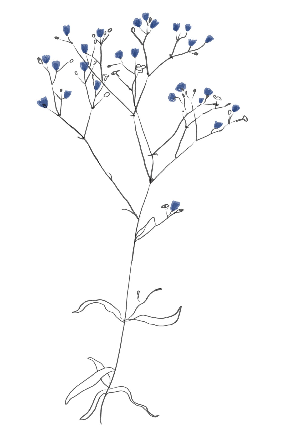 canvas-print-simple-line-art-plant