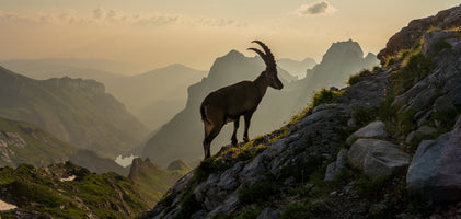 poster-print-alpstein-in-switzerland