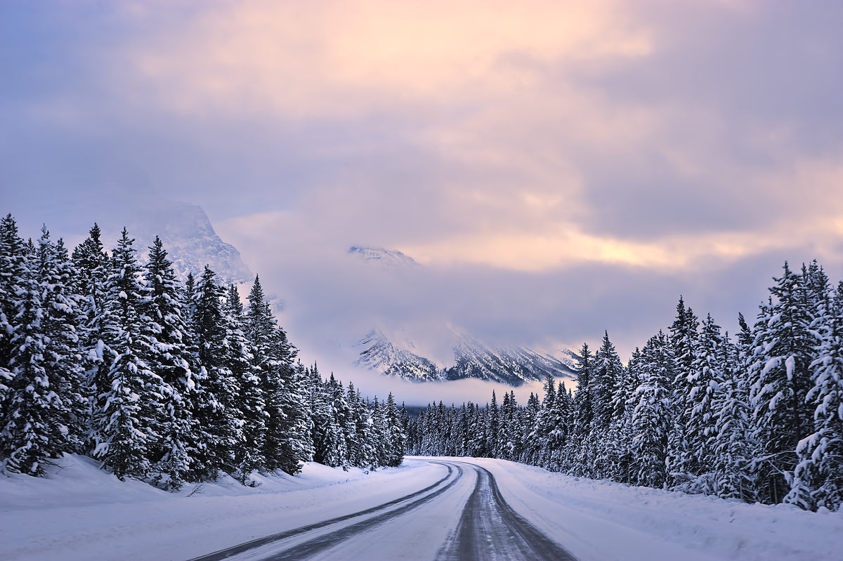 canvas-print-to-the-wonderland