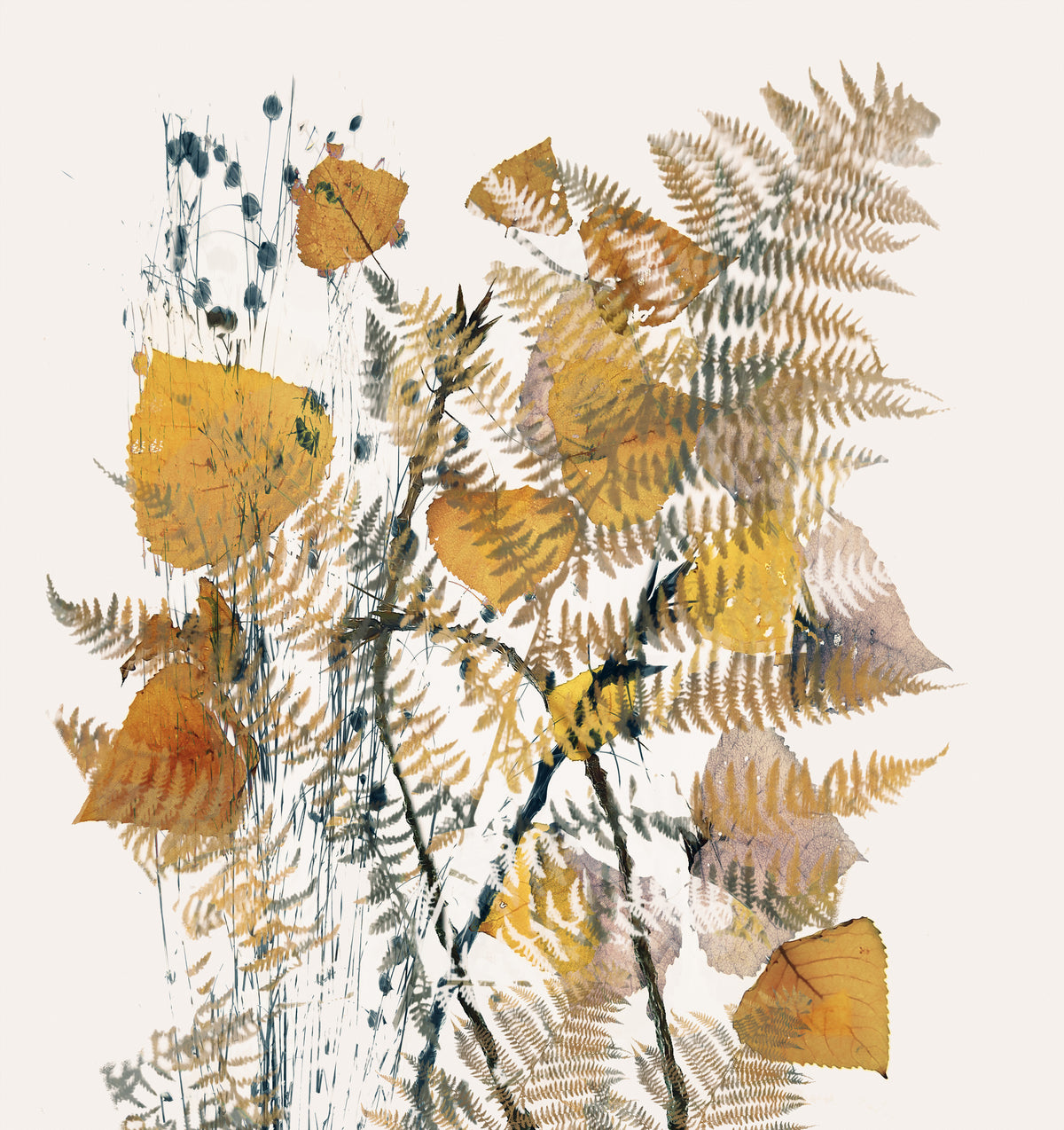 aluminium-print-past-time-2