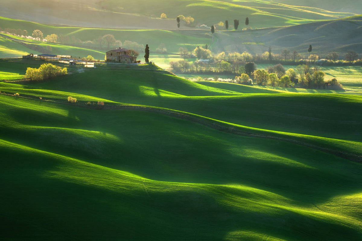 canvas-print-green-waves-x