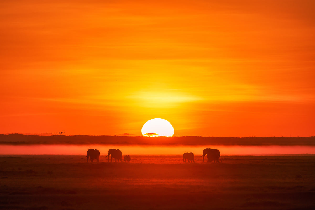 aluminium-print-africa-impression-x
