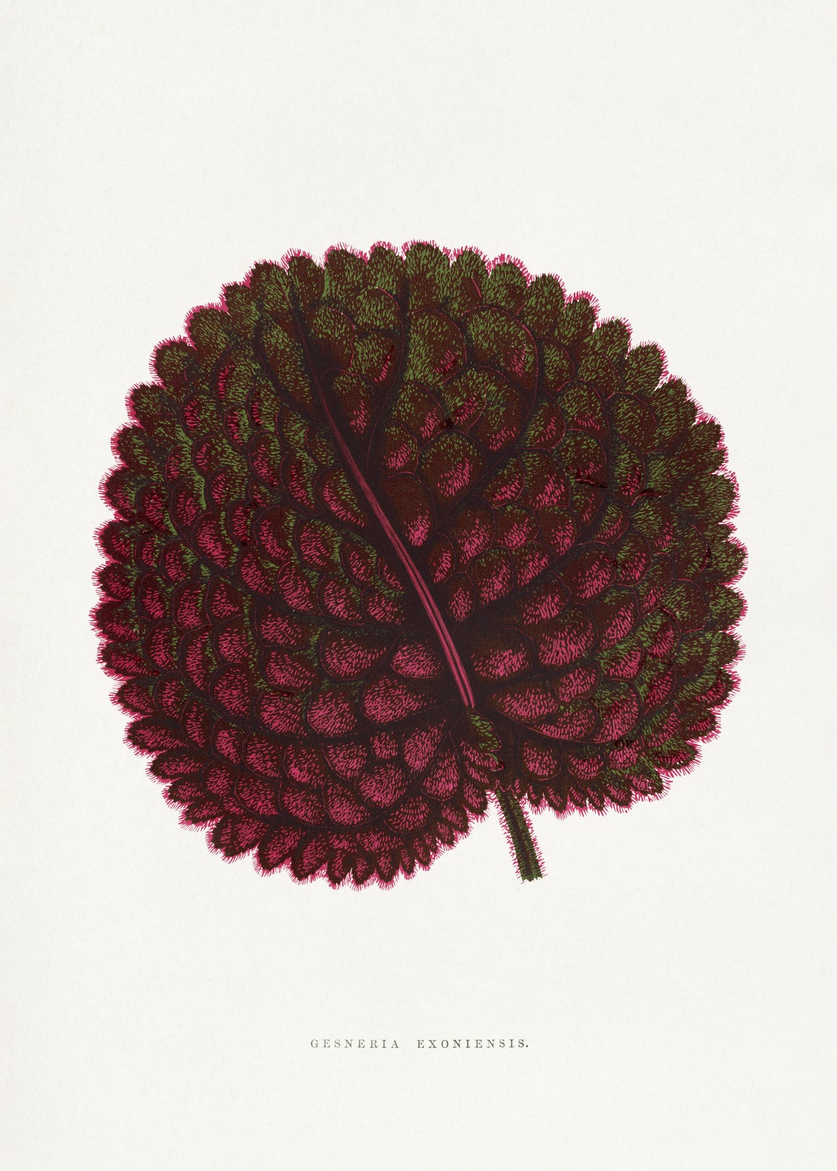framedposter-print-nature-in-painted-harmony