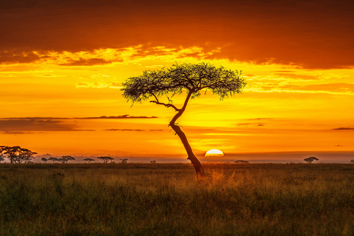 framedposter-print-primordial-africa-x