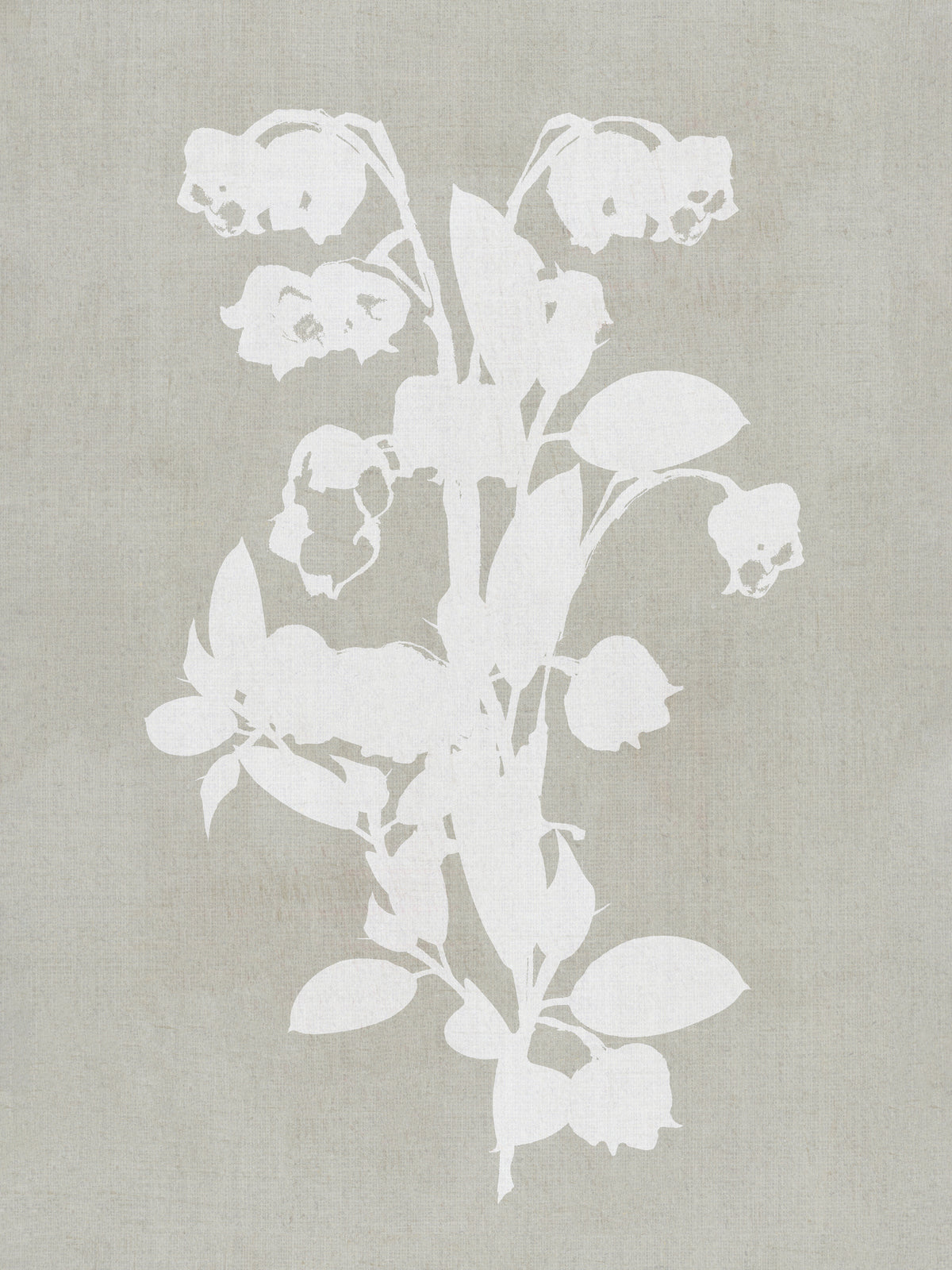 acrylic-print-botanical-illustration-4