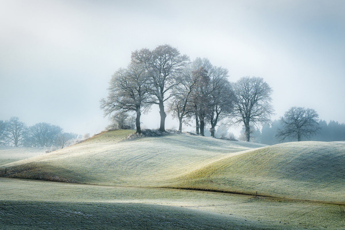 acrylic-print-it-is-not-in-tuscany-x