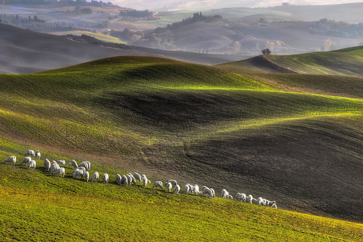 framedcanvas-print-pastoral-x