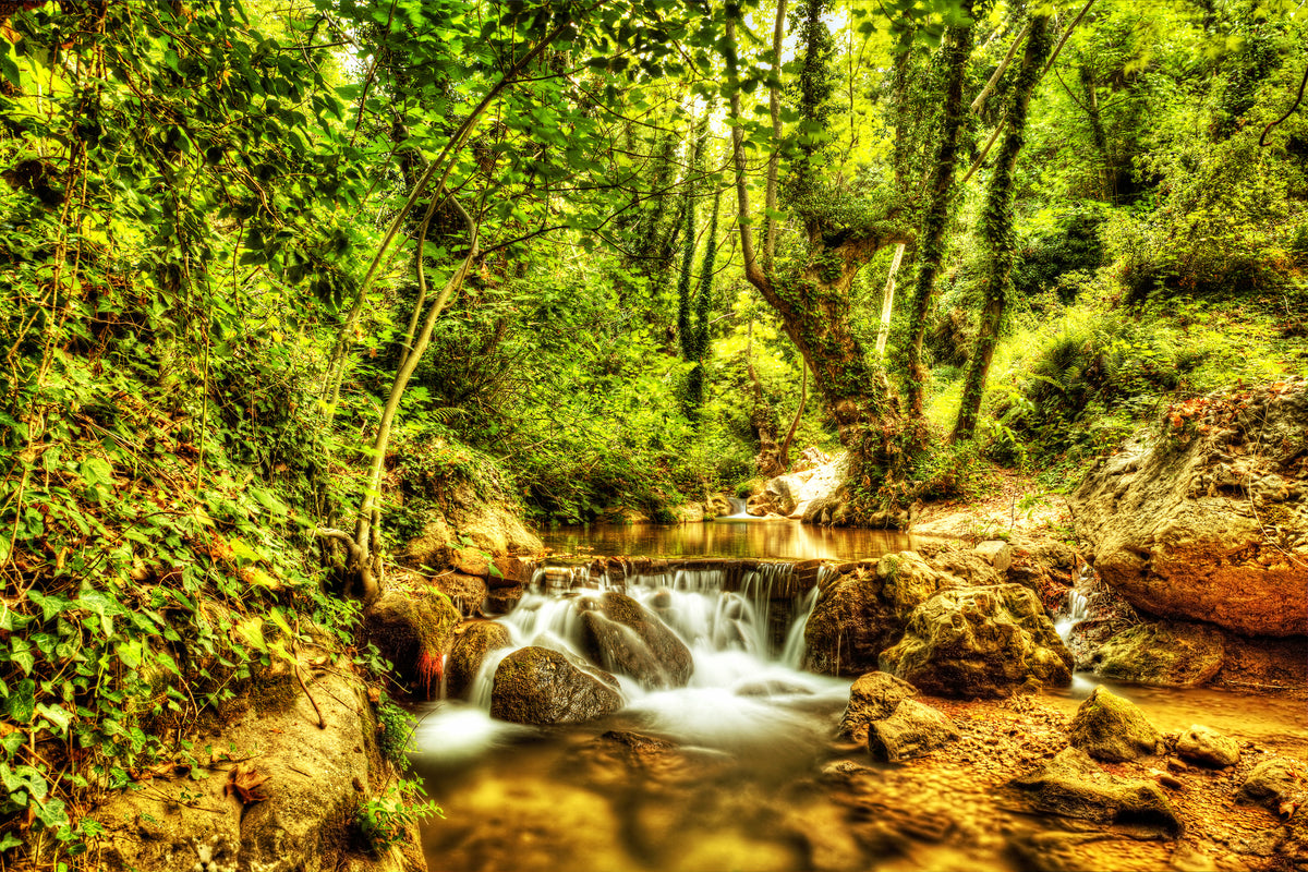 framedposter-print-waterfall-in-the-forest