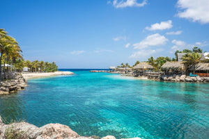 aluminium-print-life-in-a-lagoon
