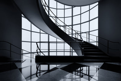 poster-print-the-graceful-ascent-x