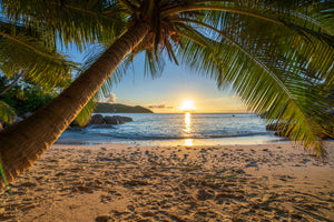 canvas-print-tropical-sand-and-sea