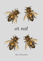 acrylic-print-to-be-or-not-to-be