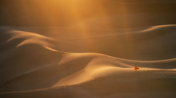 aluminium-print-light-beams-over-sand-dunes