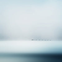 9-piece-acrylic-print-wild-geese