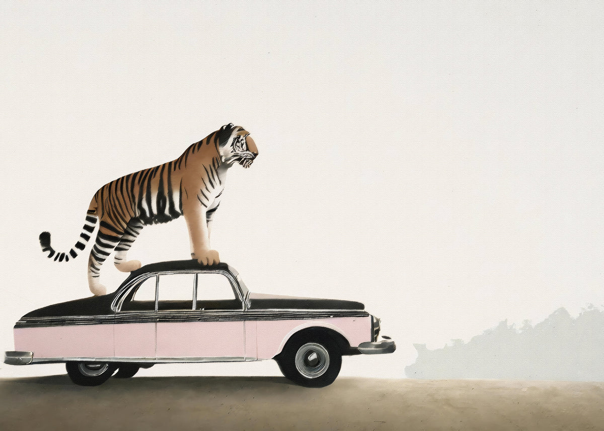 canvas-print-tiger-om-a-car-roof