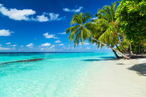 modern-3-piece-canvas-print-coconut-palms-on-a-tropical-paradise-beach