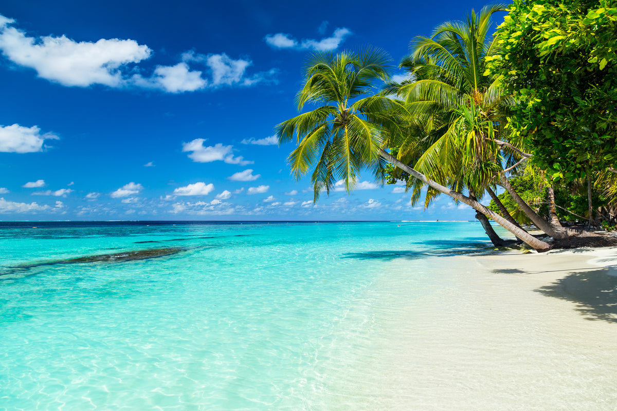 modern-3-piece-canvas-print-coconut-palms-on-a-tropical-paradise-beach