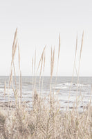 framedposter-print-beach-vass-001