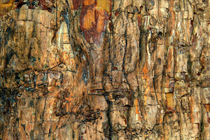 aluminium-print-bark-x