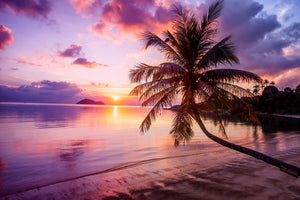 modern-3-piece-canvas-print-sunset-on-the-beach
