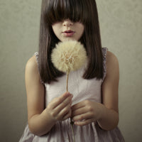 poster-print-secret-wishes