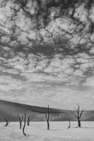 framedcanvas-print-black-and-white-desert-landscape-2