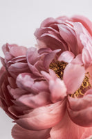 framedcanvas-print-peony-4